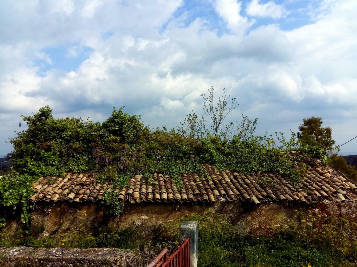 Katia'S Attic Otel Acharavi  Dış mekan fotoğraf
